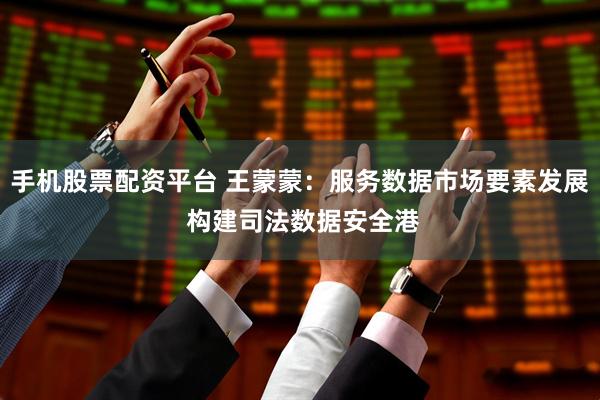 手机股票配资平台 王蒙蒙：服务数据市场要素发展 构建司法数据安全港