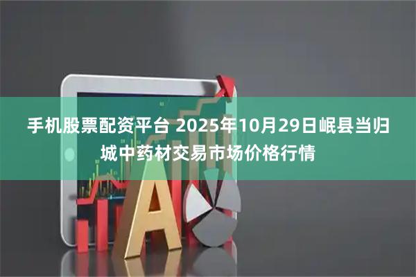 手机股票配资平台 2025年10月29日岷县当归城中药材交易市场价格行情