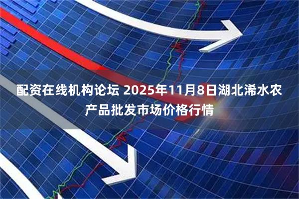 配资在线机构论坛 2025年11月8日湖北浠水农产品批发市场价格行情